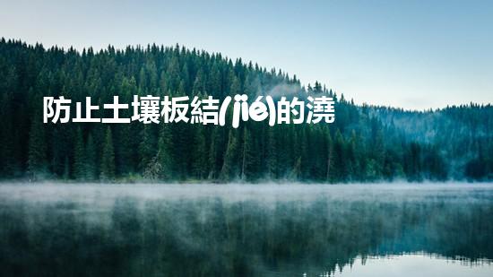 防止土壤板結(jié)的澆水方式，讓你的植物生長更健康.